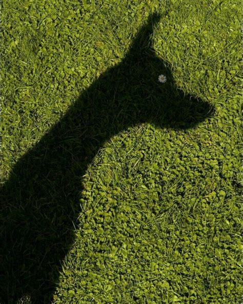 unusual     world part