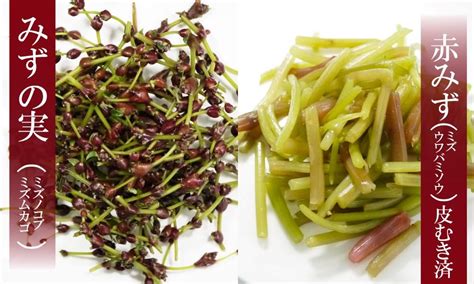 青森の天然山菜ミズ みずの実 ミズノコブ ムカゴ