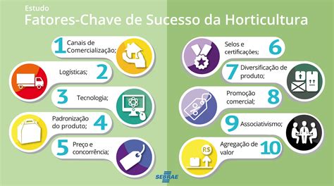 Os Dez Fatores Chave De Sucesso Da Horticultura Sebrae