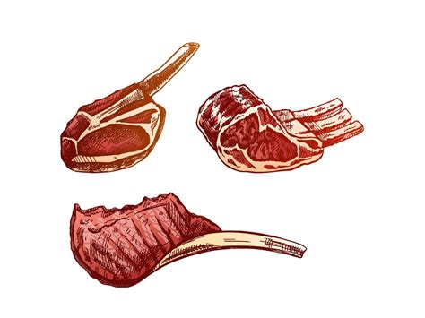 Organic Food Hand Drawn Colored Vector Sketches Of Pork Beaf Lamb