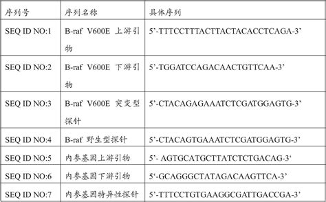 一种检测b Raf基因突变的数字pcr试剂盒及其使用方法与流程