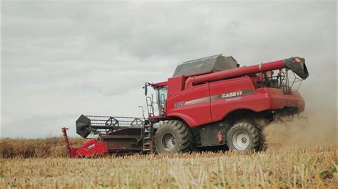 Harvest Time Case Ih Axial Flow Rzepak Youtube