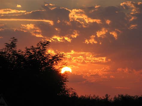 Free Images Tree Nature Silhouette Cloud Sun Sunrise Sunset