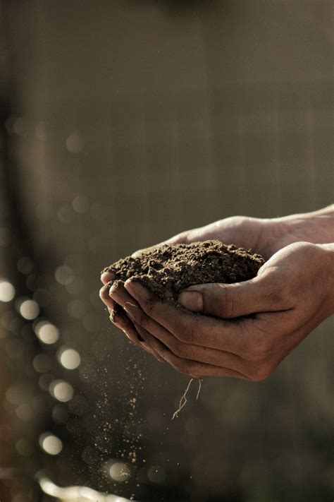 Here Is How To Turn Over Soil Like A Pro Gardener