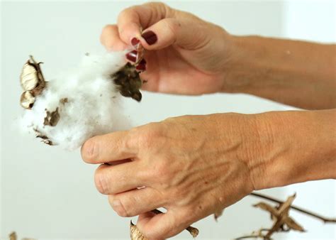 Moderné koberce LORENA CANALS Monstera Vintage Nude Mood sk