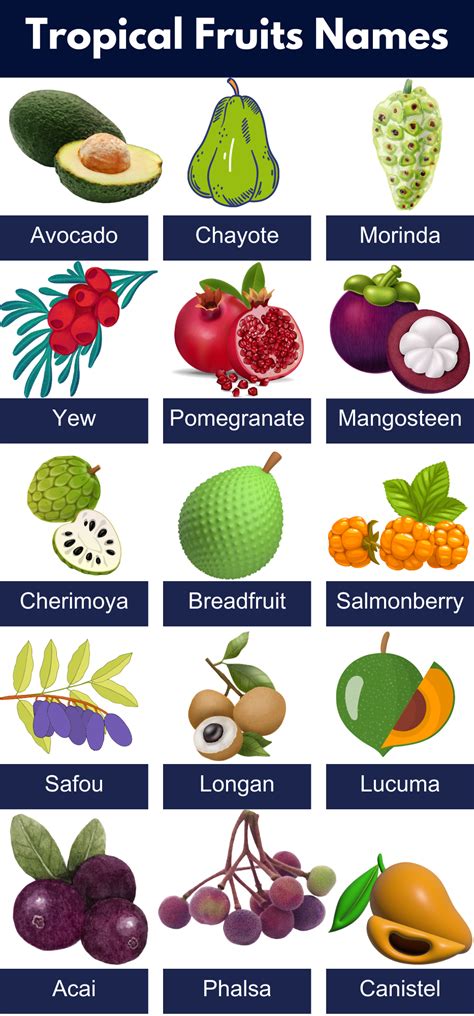 List of All Tropical Fruits Name, Pictures, PDF - GrammarVocab