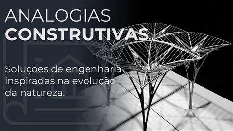 ANALOGIAS ENTRE OS SISTEMAS ESTRUTURAIS DA NATUREZA E OS SISTEMAS