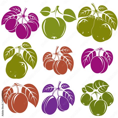 Collection Of Simple Fruits Vector Icons With Green Leaves Harv Stock