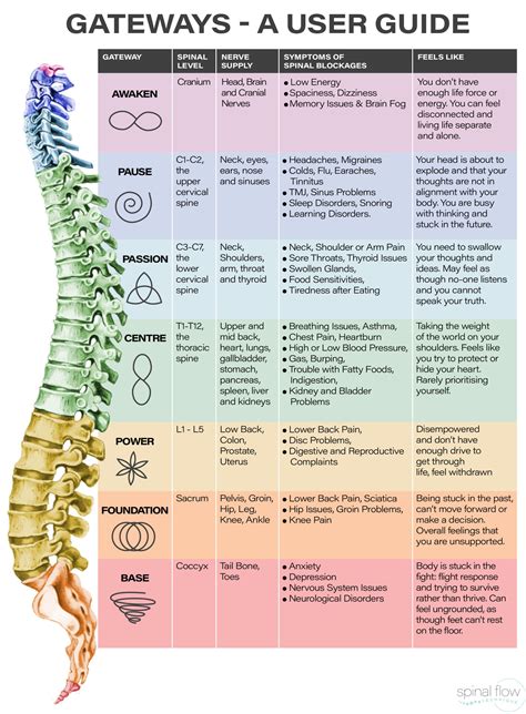 Spinal Flow Technique | Alternative medicine holistic healing, Energy healing reiki, Energy ...