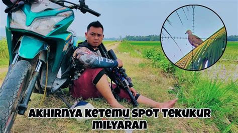 Woww Ternyata Disini Spot Tekukur Milyaran Auto Panen Youtube