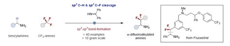 Angew：苄基胺与三氟甲基芳烃的α 二氟烷基化反应方法学 化学空间 Chem Station