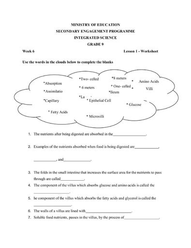 Grade 9 Worksheets Integrated Science Worksheets Library