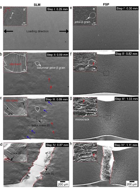 SEM Images During In Situ Tensile Testing At Different Strain Levels