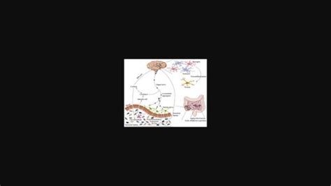 帕金森病治疗的新希望靶向肠道菌群 CNS Neuroscience Therapeutics X MOL