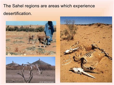 Desertification In The Sahel