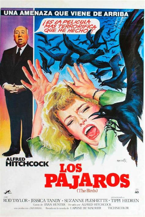 Los Pájaros Reseña De La Película Filmfilicos Blog De Cine