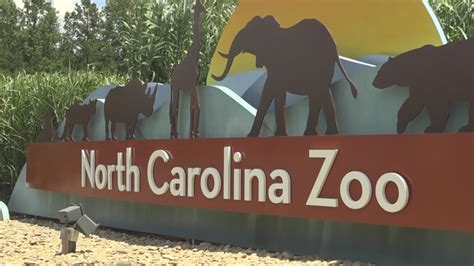 North Carolina Zoo wins 'Best Zoo' in the nation | wcnc.com