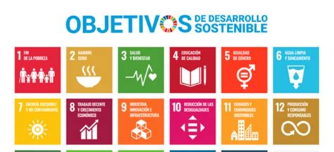 El Objetivo 16 De Los Objetivos De Desarrollo Sostenible De La Onu