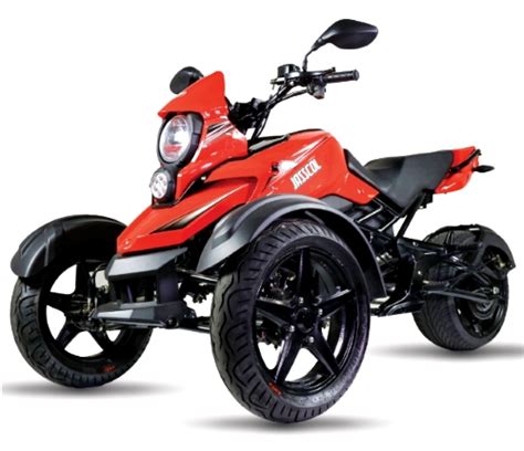 200cc Tryker Trike Scooter Gas Moped Fully Automatic with Reverse - JassCol 200 Trike