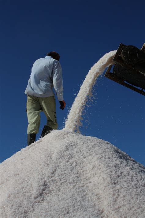 Saline Di Margherita Di Savoia Puglia B B La Casa Pugliese Flickr