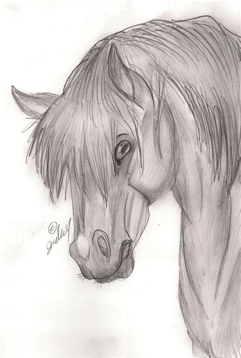 Semi-Realistic Horse Sketch by JedaUW on DeviantArt