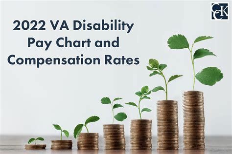 Va Disability Benefits Pay Chart 2023