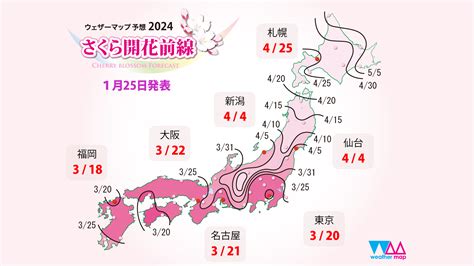 2024年 第一回「さくら開花予想」ウェザーマップ発表 〜平年より4日から1週間ほど早めの開花の所が多い見込み 全国で最初の開花は福岡で3月