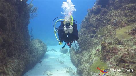 Scuba Diving In Punta Cana September St Dressel Divers Youtube