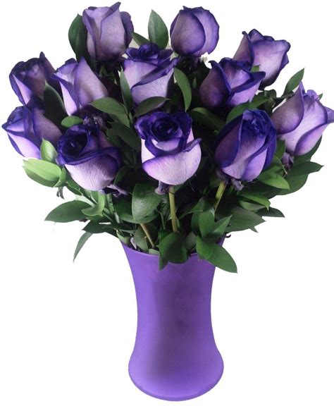 Top Pictures Beautiful Pictures Of Purple Roses Latest