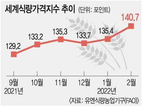 세계식량가격 11년만에 사상 최고 밥상물가 비상 국민일보