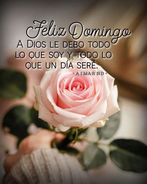 Pin De Ivonne En Happy Sunday Feliz Dia Domingo Mensajes De Buenos Dias Feliz Domingo