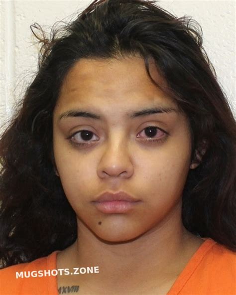 LIRA CORDERO ISABEL 04 04 2022 Hockley County Mugshots Zone