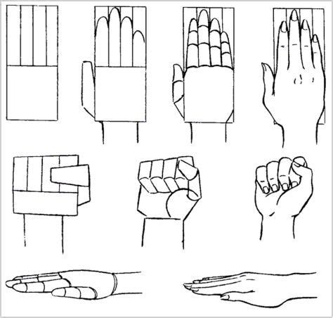 How To Draw Aprende A Dibujar Manos Humanas Con Estos Sencillos