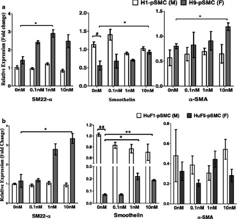 Cell Sex Affects Extracellular Matrix Protein Expression And