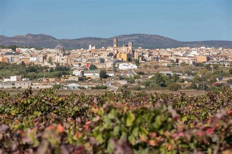 Requena qué ver y 6 planes para hacer con niños Excursiones