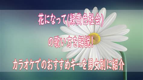 花になって（緑黄色社会）の歌い方を解説！ カラオケでのおすすめキーを男性、女性別にいくつなのか紹介 ボイトレマニア