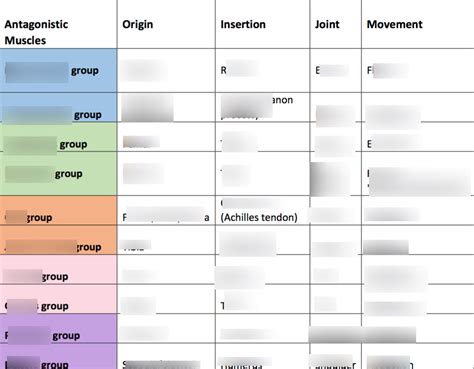 Antagonistic muscles Diagram | Quizlet