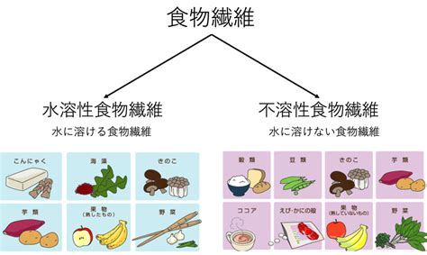 健康や美容には必須 食物繊維の種類とその役割 腸内環境を中心に 福岡市の整体・ヨガピラティスならkizukiキヅキ