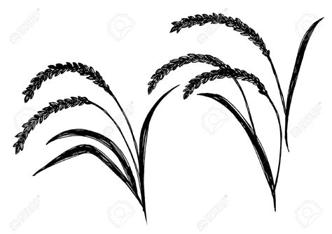 The best free Wheat silhouette images. Download from 39 free ...