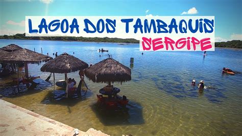 Lagoa Dos Tambaquis Est Ncia Sergipe Canal Hoje Tem Dicas E