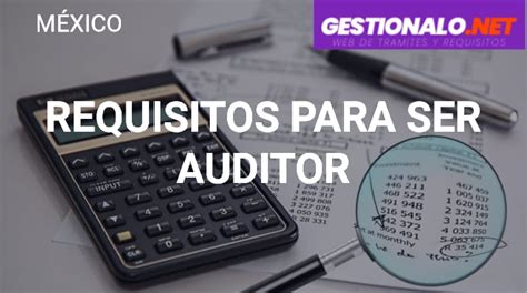 Requisitos Para Ser Auditor Funciones Salario Y M S