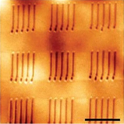 Any Shape, Any Substrate Ferroelectric Materials - Advanced Science News