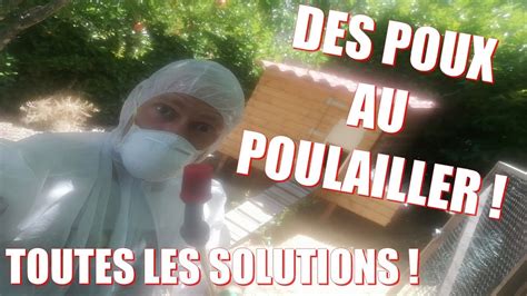 DES POUX AU POULAILLER Les Solutions YouTube