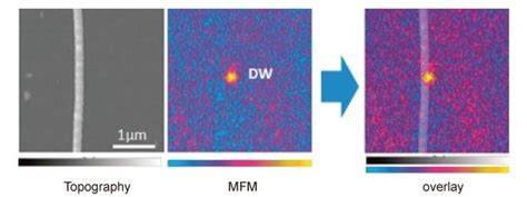 Magnetic Force Microscope Mfm Hitachi High Tech Corporation