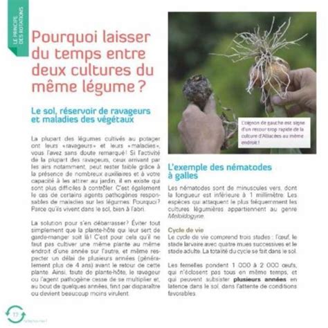 Faites Tourner Les Rotations Dans Mon Potager