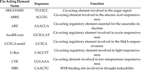 Analysis Of Some Important Cis Acting Regulatory Elements In The