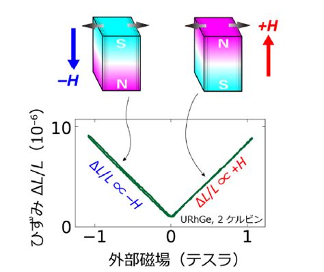 強磁性体における圧磁効果を発見 ― 必然でありながら半世紀以上知られていなかった強磁性圧磁効果の初観測 ― ｜東北大学 金属材料研究所