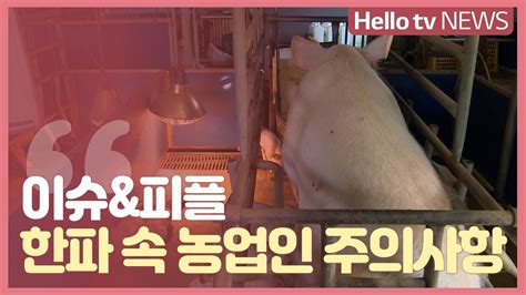 이슈and피플 최강 한파 속 농작물·축사 관리 방안은 Youtube