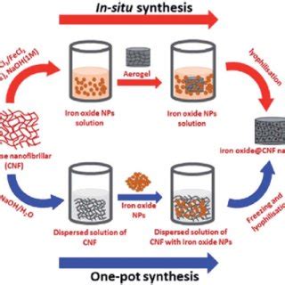 Schematic Representation Of The Synthesis Of The Iron Oxide Cnf