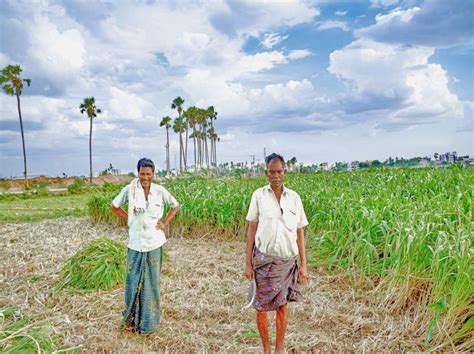 Contract Farming In India Jus Corpus